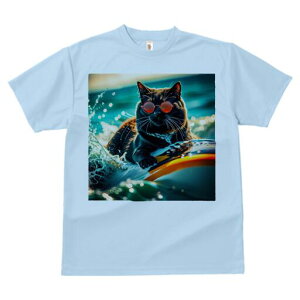 TVc fB[X t@  t  vg JWA 킢 lԗp h ̃fUC ʔ TOX C T[tB