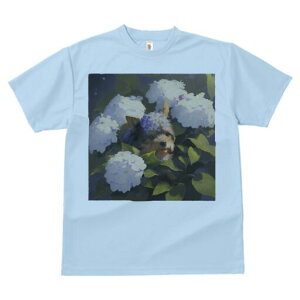 [NV[eA TVc fB[X t@  t  vg JWA 킢 lԗp h ̃fUC ʔ AWTC [NV[eA  A