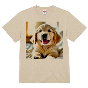 S[fgo[ TVc fB[X t@  t  vg JWA 킢 lԗp h ̃fUC ʔ S[fgo[