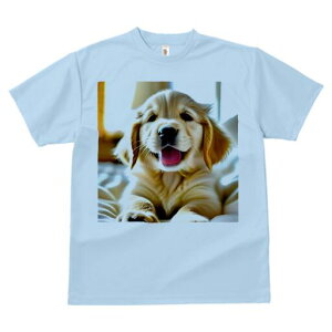 S[fgo[ TVc fB[X t@  t  vg JWA 킢 lԗp h ̃fUC ʔ S[fgo[