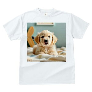 S[fgo[ TVc fB[X t@  t  vg JWA 킢 lԗp h ̃fUC ʔ q S[fgo[ 킢 ybg ѕz