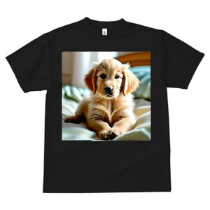 S[fgo[ TVc fB[X t@  t  vg JWA 킢 lԗp h ̃fUC ʔ  S[fgo[ xbh ѕz