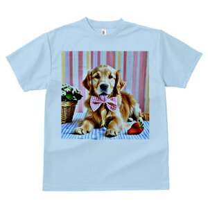 S[fgo[ TVc fB[X t@  t  vg JWA 킢 lԗp h ̃fUC ʔ  S[fgo[  lN^C