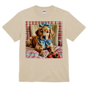 S[fgo[ TVc fB[X t@  t  vg JWA 킢 lԗp h ̃fUC ʔ C`S S[fgo[ ֎q {