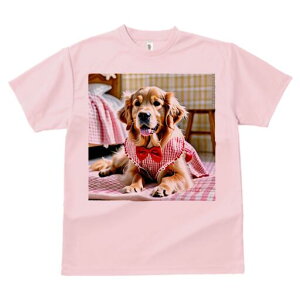 S[fgo[ TVc fB[X t@  t  vg JWA 킢 lԗp h ̃fUC ʔ `FbN S[fgo[ {