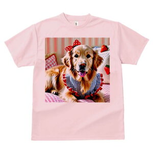 S[fgo[ TVc fB[X t@  t  vg JWA 킢 lԗp h ̃fUC ʔ { S[fgo[  MK`