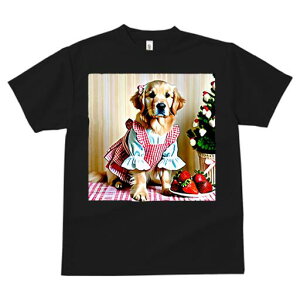 S[fgo[ TVc fB[X t@  t  vg JWA 킢 lԗp h ̃fUC ʔ C`S S[fgo[ Gv `FbN