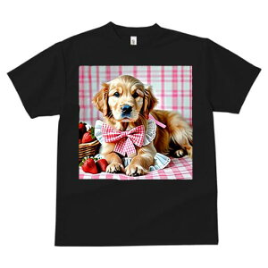 S[fgo[ TVc fB[X t@  t  vg JWA 킢 lԗp h ̃fUC ʔ  S[fgo[ { `FbN