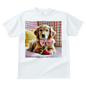 S[fgo[ TVc fB[X t@  t  vg JWA 킢 lԗp h ̃fUC ʔ C`S S[fgo[ lN^C `Fb