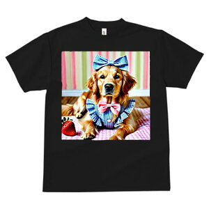 S[fgo[ TVc Y LbY t@  t  vg JWA 킢 lԗp h ̃fUC ʔ { S[fgo[  `FbN