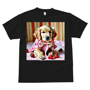 S[fgo[ TVc fB[X t@  t  vg JWA 킢 lԗp h ̃fUC ʔ C`S S[fgo[ { s[X 