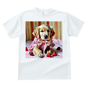 S[fgo[ TVc fB[X t@  t  vg JWA 킢 lԗp h ̃fUC ʔ C`S S[fgo[ { s[X 