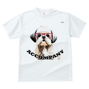 V[Y[ TVc fB[X t@  t  vg JWA 킢 lԗp h ̃fUC ʔ Kl V[Y[