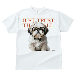 V[Y[ TVc fB[X t@  t  vg JWA 킢 lԗp h ̃fUC ʔ Kl V[Y[ lN^C