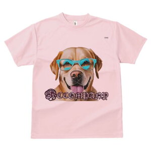 S[fgo[ TVc fB[X t@  t  vg JWA 킢 lԗp h ̃fUC ʔ Kl S[fgo[