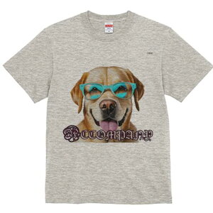 S[fgo[ TVc fB[X t@  t  vg JWA 킢 lԗp h ̃fUC ʔ Kl S[fgo[