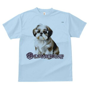 V[Y[ TVc fB[X t@  t  vg JWA 킢 lԗp h ̃fUC ʔ Kl V[Y[