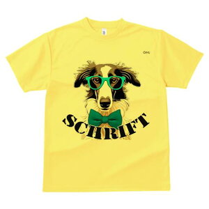 {]C TVc fB[X t@  t  vg JWA 킢 lԗp h ̃fUC ʔ Kl {]C lN^C