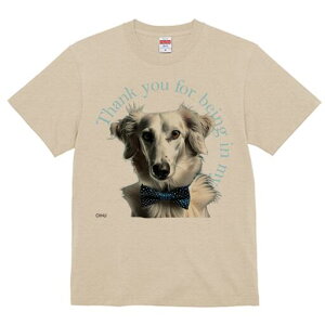 T[L TVc fB[X t@  t  vg JWA 킢 lԗp h ̃fUC ʔ lN^C T[L