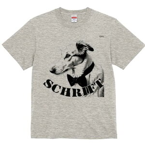 {]C TVc fB[X t@  t  vg JWA 킢 lԗp h ̃fUC ʔ lN^C {]C 