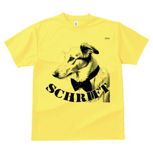 {]C TVc fB[X t@  t  vg JWA 킢 lԗp h ̃fUC ʔ lN^C {]C 