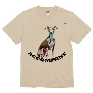 C^AO[nEh TVc fB[X t@  t  vg JWA 킢 lԗp h ̃fUC ʔ C^AO[nEh