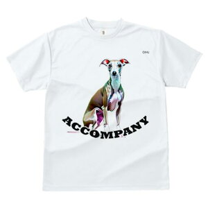 C^AO[nEh TVc fB[X t@  t  vg JWA 킢 lԗp h ̃fUC ʔ C^AO[nEh