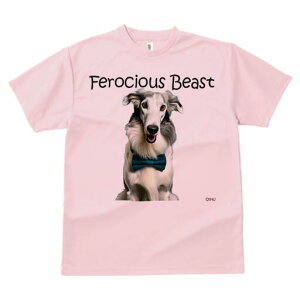 {]C TVc fB[X t@  t  vg JWA 킢 lԗp h ̃fUC ʔ lN^C {]C