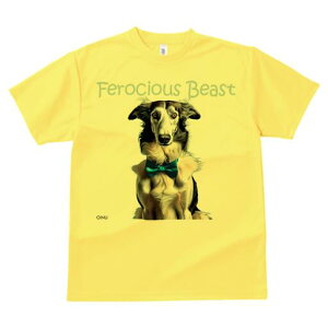 {]C TVc fB[X t@  t  vg JWA 킢 lԗp h ̃fUC ʔ lN^C {]C