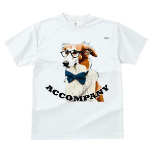 {]C TVc Y LbY t@  t  vg JWA 킢 lԗp h ̃fUC ʔ Kl {]C lN^C