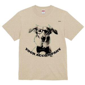 {]C TVc Y LbY t@  t  vg JWA 킢 lԗp h ̃fUC ʔ Kl {]C lN^C