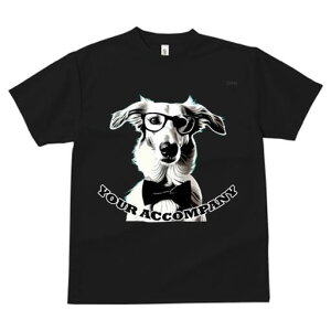 {]C TVc fB[X t@  t  vg JWA 킢 lԗp h ̃fUC ʔ Kl {]C lN^C