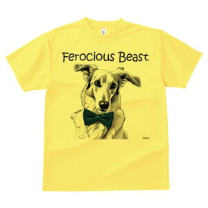 {]C TVc fB[X t@  t  vg JWA 킢 lԗp h ̃fUC ʔ lN^C {]C