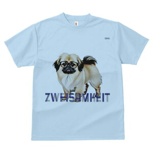 yLj[Y TVc fB[X t@  t  vg JWA 킢 lԗp h ̃fUC ʔ Kl yLj[Y