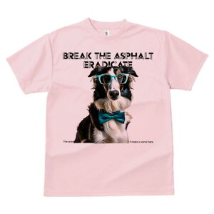 {[_[R[ TVc fB[X t@  t  vg JWA 킢 lԗp h ̃fUC ʔ Kl {[_[R[ lN^C