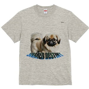 yLj[Y TVc fB[X t@  t  vg JWA 킢 lԗp h ̃fUC ʔ Kl yLj[Y