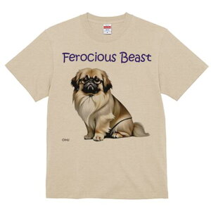 yLj[Y TVc fB[X t@  t  vg JWA 킢 lԗp h ̃fUC ʔ Kl yLj[Y