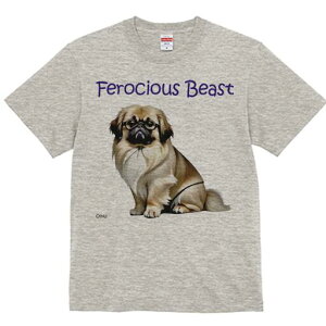 yLj[Y TVc fB[X t@  t  vg JWA 킢 lԗp h ̃fUC ʔ Kl yLj[Y