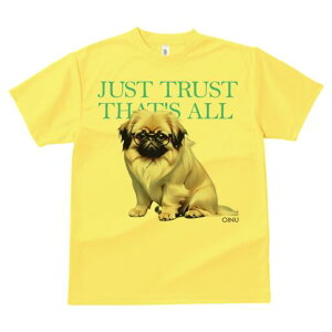 yLj[Y TVc fB[X t@  t  vg JWA 킢 lԗp h ̃fUC ʔ Kl yLj[Y