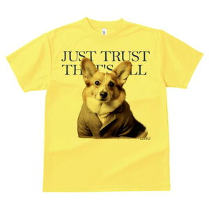 R[M[ TVc fB[X t@  t  vg JWA 킢 lԗp h ̃fUC ʔ X[c R[M[