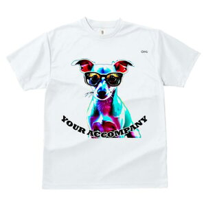 C^AO[nEh TVc Y LbY t@  t  vg JWA 킢 lԗp h ̃fUC ʔ Kl C^AO[nEh