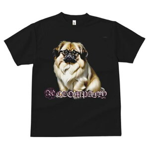 yLj[Y TVc fB[X t@  t  vg JWA 킢 lԗp h ̃fUC ʔ Kl yLj[Y