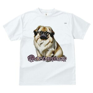 yLj[Y TVc fB[X t@  t  vg JWA 킢 lԗp h ̃fUC ʔ Kl yLj[Y