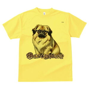 yLj[Y TVc Y LbY t@  t  vg JWA 킢 lԗp h ̃fUC ʔ Kl yLj[Y