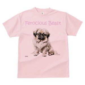 yLj[Y TVc fB[X t@  t  vg JWA 킢 lԗp h ̃fUC ʔ Kl yLj[Y