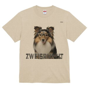 VFbghV[vhbO TVc Y LbY t@  t  vg JWA 킢 lԗp h ̃fUC ʔ Kl VFbghV[vhbO