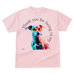 C^AO[nEh TVc Y LbY t@  t  vg JWA 킢 lԗp h ̃fUC ʔ Kl C^AO[nEh