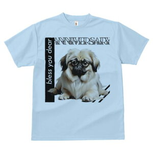 yLj[Y TVc fB[X t@  t  vg JWA 킢 lԗp h ̃fUC ʔ Kl yLj[Y