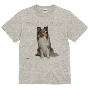 VFbghV[vhbO TVc fB[X t@  t  vg JWA 킢 lԗp h ̃fUC ʔ Kl VFbghV[vhbO