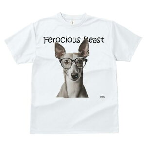 C^AO[nEh TVc Y LbY t@  t  vg JWA 킢 lԗp h ̃fUC ʔ Kl C^AO[nEh